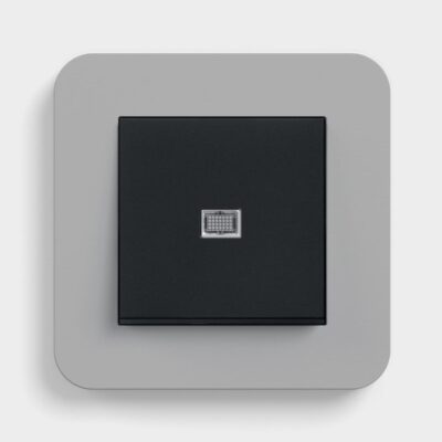 GIRA E3 Mid grey isolator switch with light