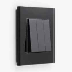 GIRA Esprit Black Glass light switch