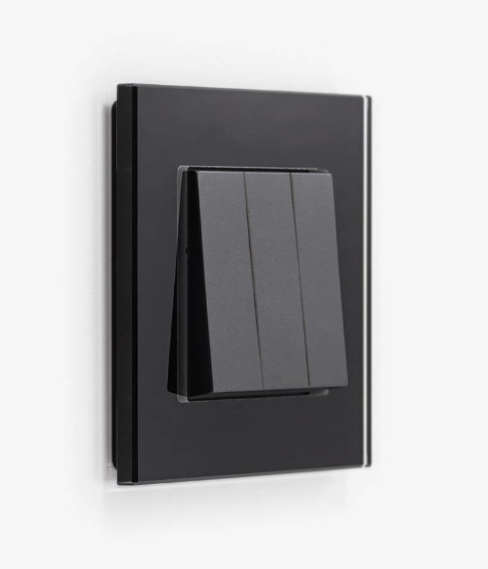 GIRA Esprit Black Glass light switch