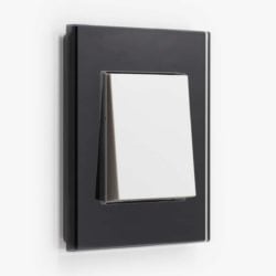 GIRA Esprit Black Glass light switch