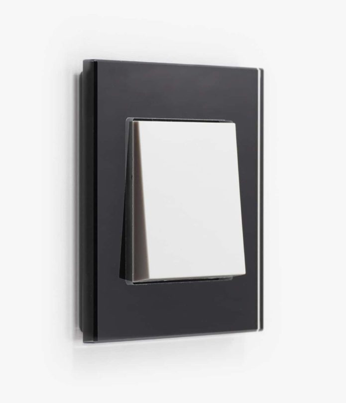 GIRA Esprit Black Glass light switch