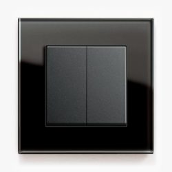 GIRA Esprit Black Glass light switch