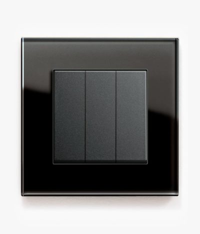 GIRA Esprit Black Glass light switch