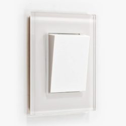 GIRA Esprit White Glass light switch