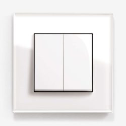 GIRA Esprit White Glass light switch
