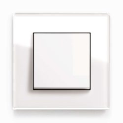 GIRA Esprit White Glass light switch
