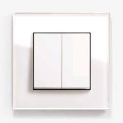 GIRA Esprit White Glass light switch
