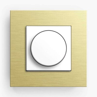 Dimmer from Swtch GIRA Esprit Gold Dimmer