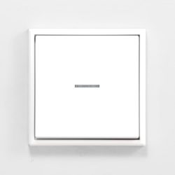 Jung LS990 White isolator switch with light