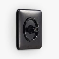 THPG Bakelite rotary light switch, square